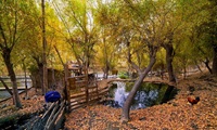 A Town of Khaplu Pakistan